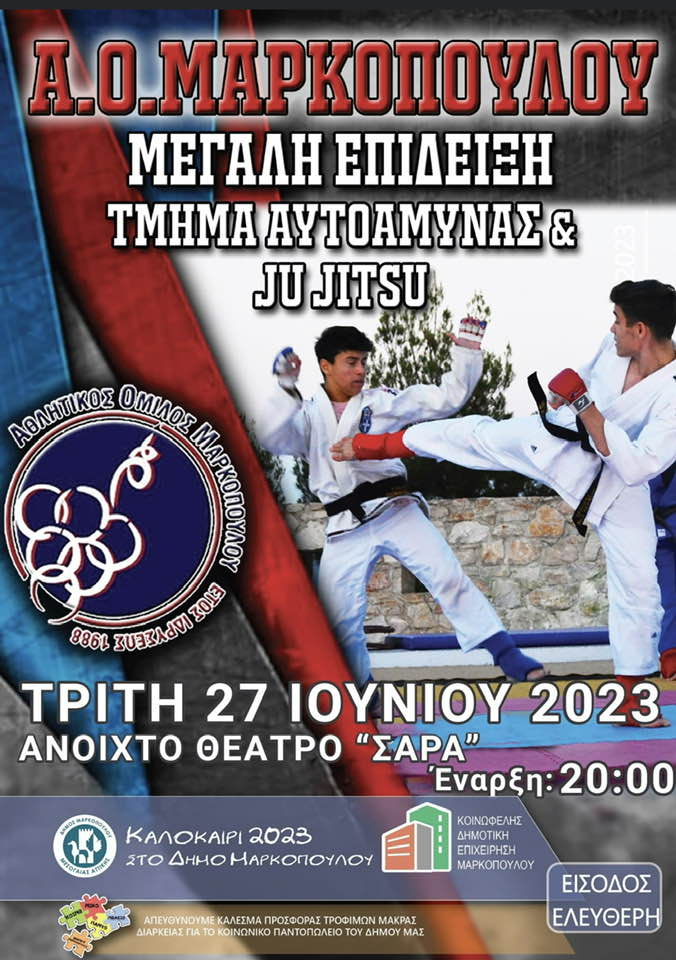 ju jitsu poster